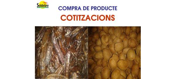 Cotitzacions (04/02/2025 al 10/02/2025)