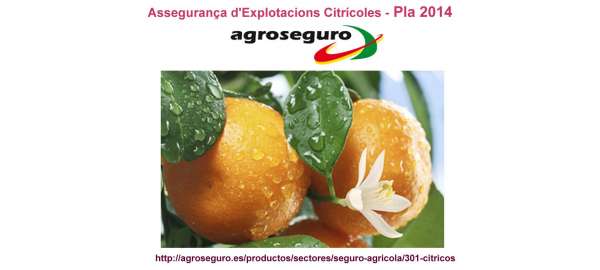 Assegurança d'Explotacions Citrícoles, Pla 2014