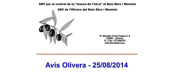 Avís Fitosanitari Olivera - 25/08/2014