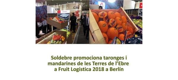Soldebre promociona els cítrics de les Terres de l'Ebre a la Fruit Logistica a Berlín