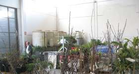 Planter d’horta i Fruiters 2
